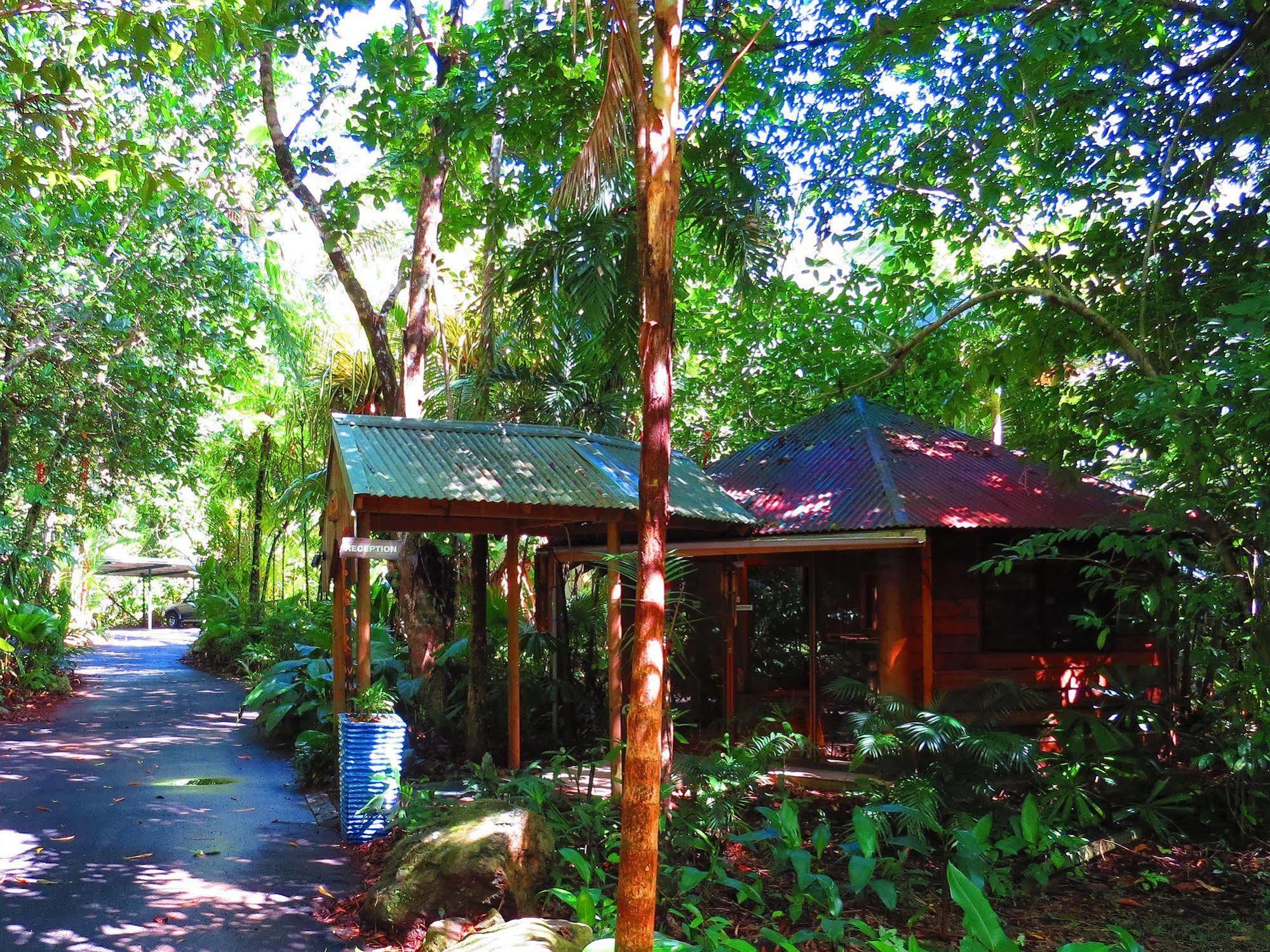 Daintree Rainforest Retreat Motel Extérieur photo